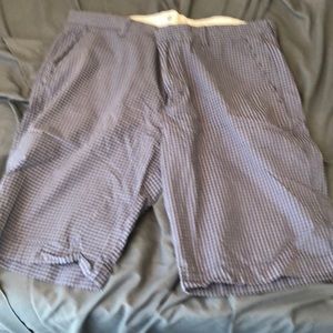 J.Crew Shorts